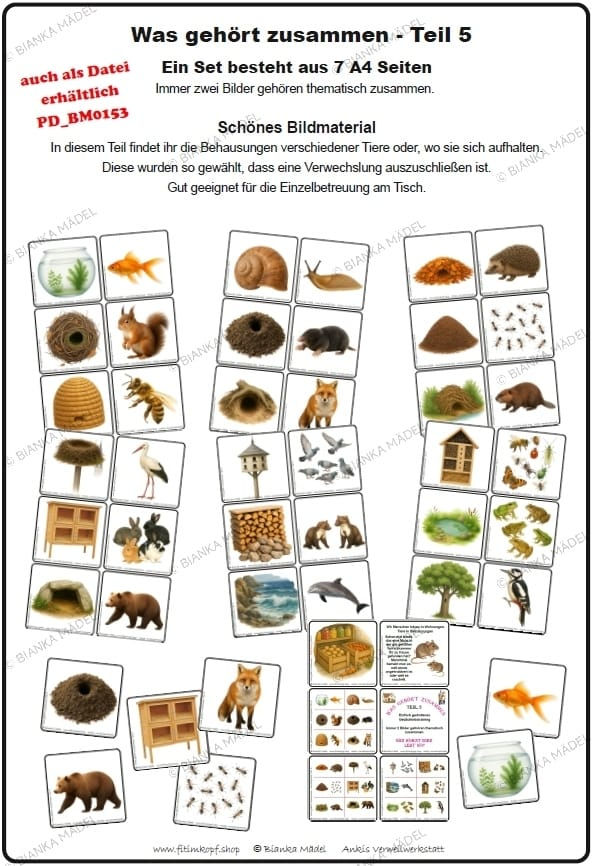 Was gehört zusammen Teil 5