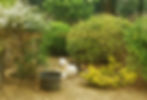 IMG-20180608-WA0000