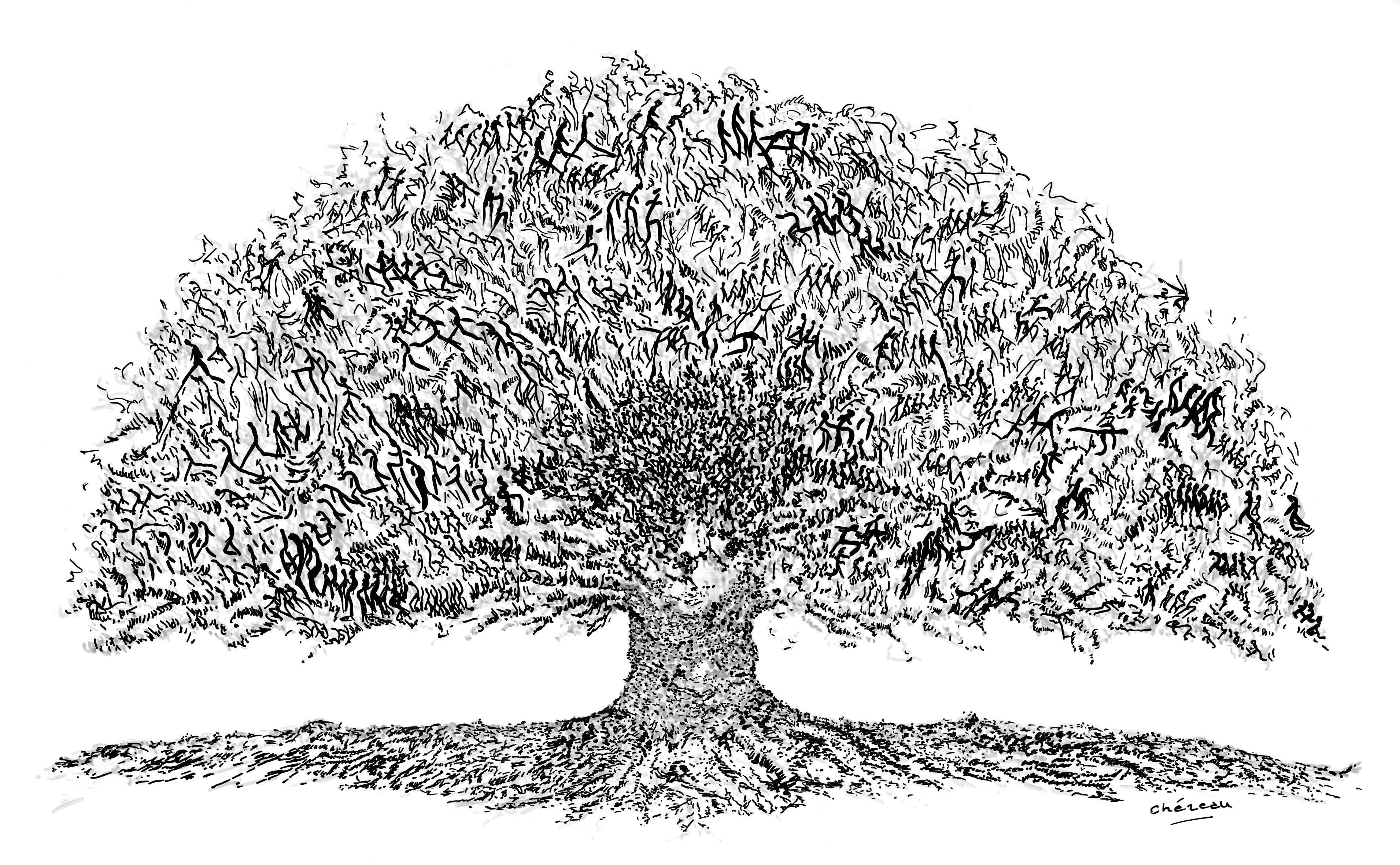 Arbre de vie