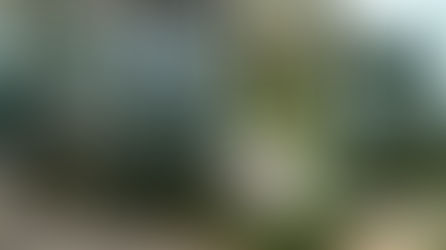 Apresentação de Plano e Treinamentos 2016!!!!