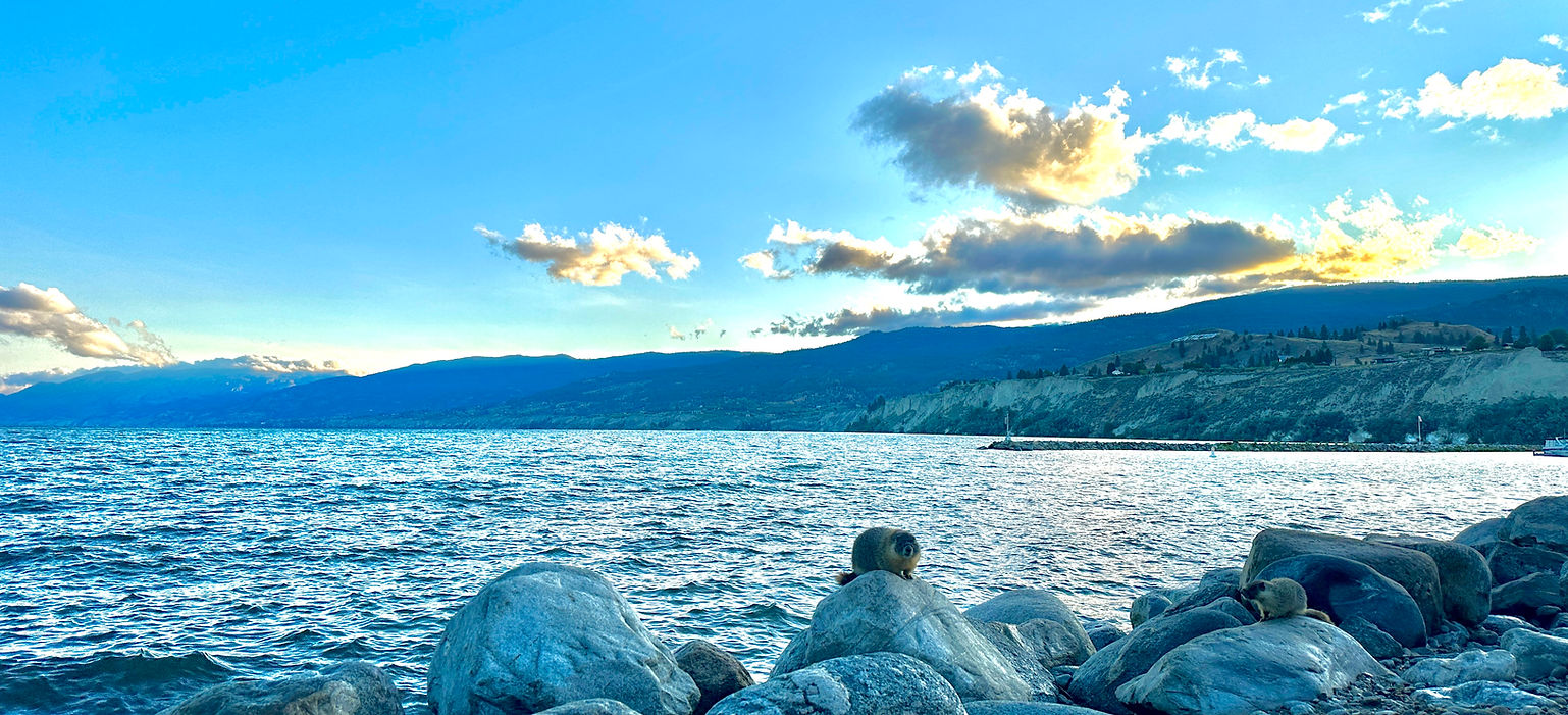 LAKE OKANAGAN.jpg