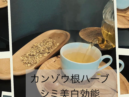 ☆カンゾウ根ハーブティー☆