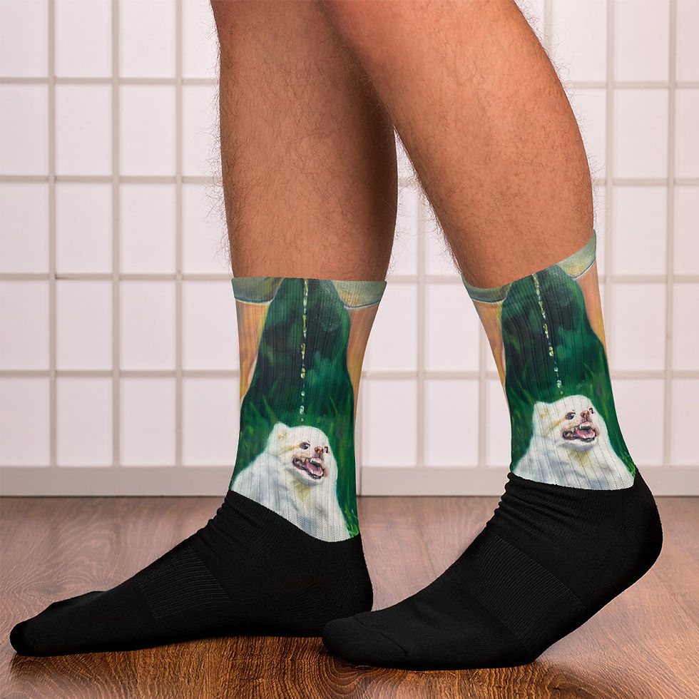 dogpee Socks