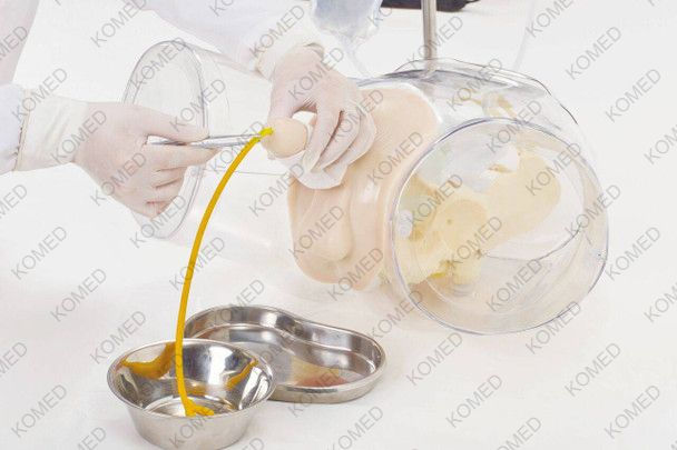 Thumbnail: Dual Sex Catheter Transparent Trainer and Urinary System Kit