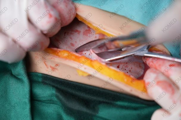 Thumbnail: Komed  Wearable C-Section Simulator