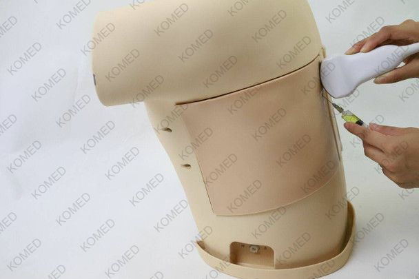 Thumbnail: Komed  Thoracentesis Ultrasound Training Model
