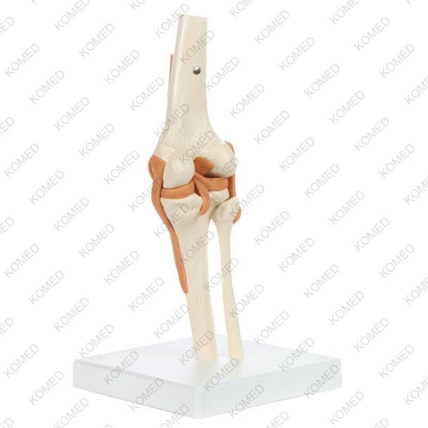 Thumbnail: Komed  Premium Functional Knee Joint with Ligaments