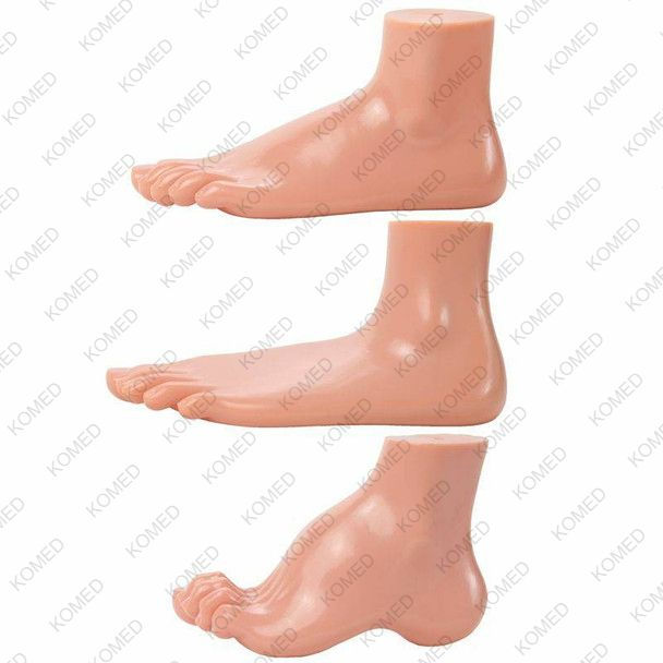Set of 3 Feet - Flat Foot, Arched Foot and Normal Foot