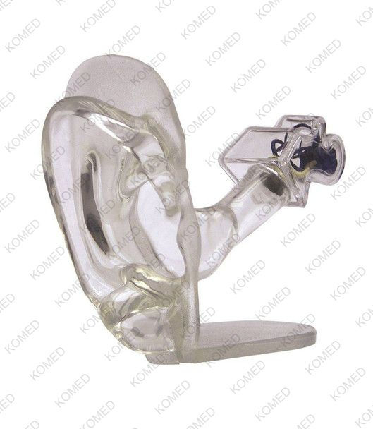 Thumbnail: Clear Ear Anatomy Model