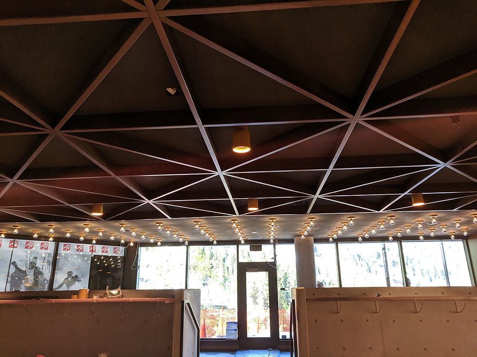 Close-up of acoustical plaster application in a upscale dining space, showing seamless integration w