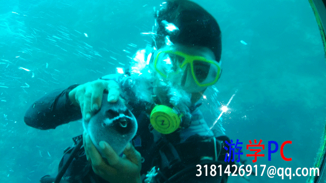 yellow-submarine-divers.gif