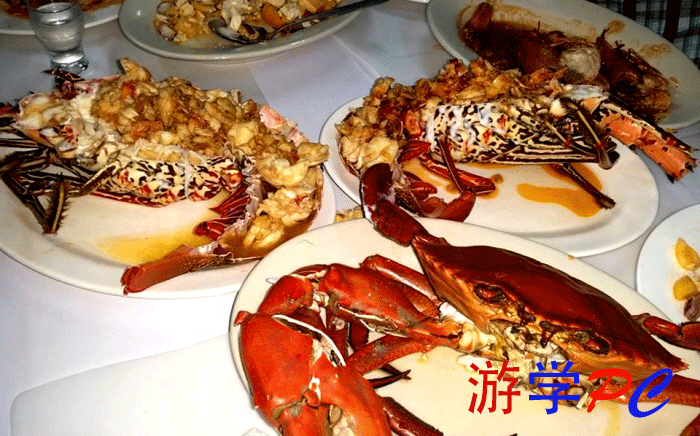 SeaFood.gif