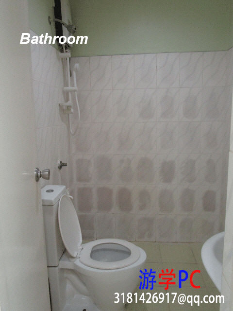 toilet.jpg
