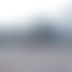 Patios exteriores (Patio frontal y patio trasero)