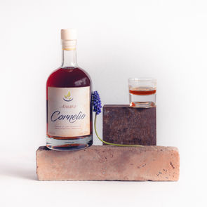 Amaro Cornelio