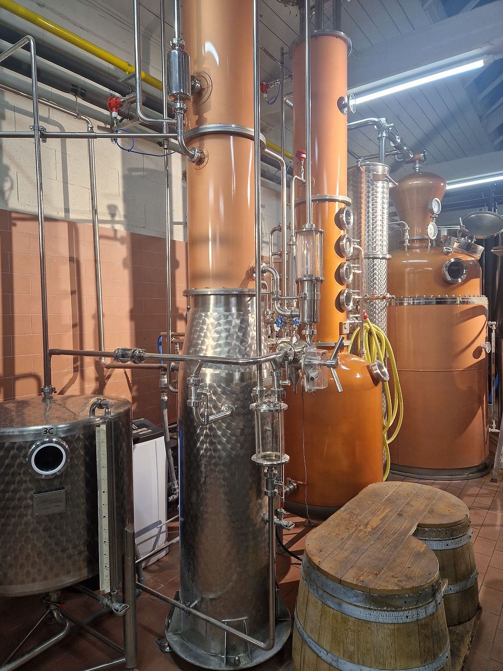Whisky Italia