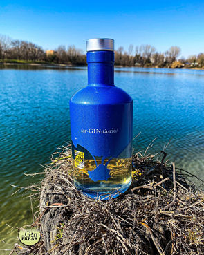 Argintario ar•GIN•tario