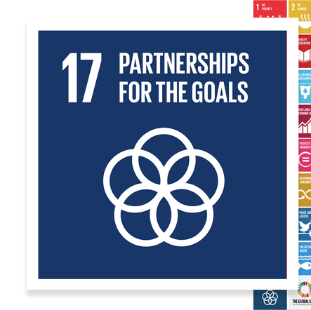 Localising the SDGs: Partnerships for the Goals