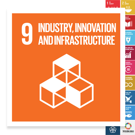 Localising the SDGs: Industry, Innovation and Infrastructure