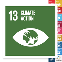 Localising the SDGs: Climate Action
