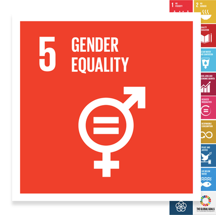 Localising the SDGs: Gender Equality