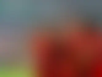 ⚽Türkiye Milli Takım Zaferi