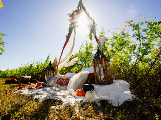 Celebrate the Seasons with Fall and Christmas Mini Sessions at Ever After Farms Peach | Pixel Groves Photography & Videography