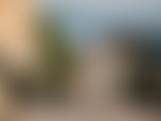 Proposal at Vizcaya gardens in golden light
