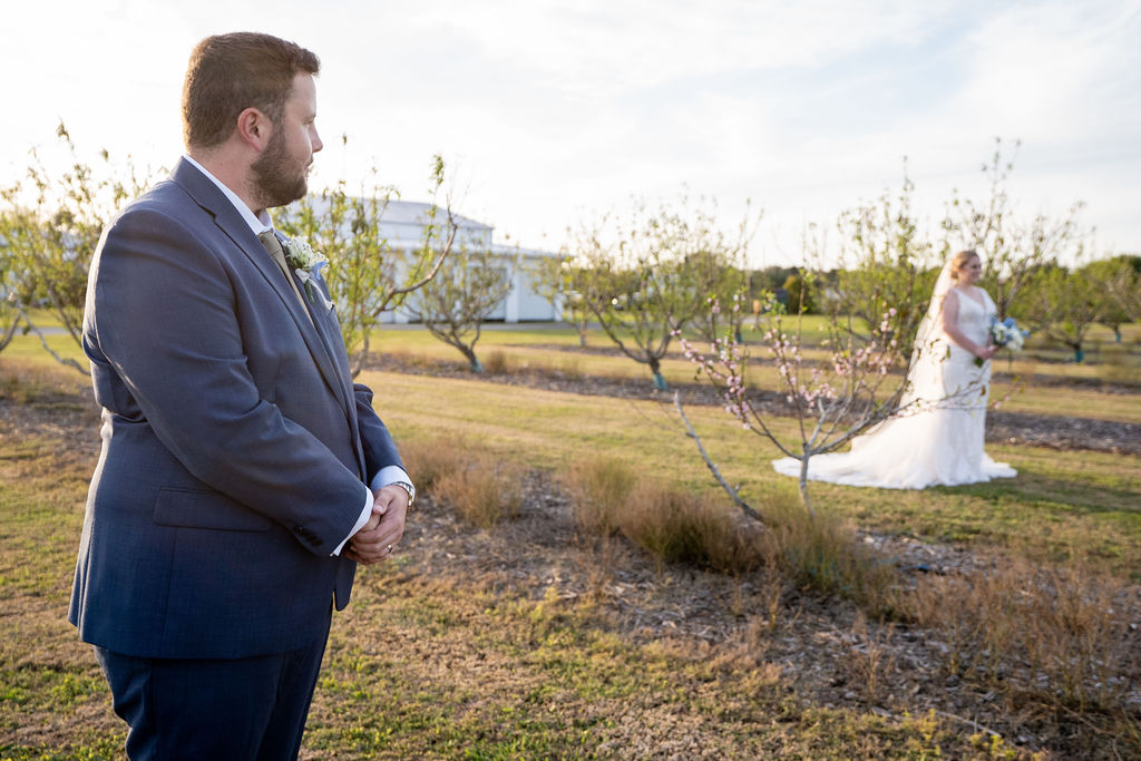 Groom looking toward the bride across vineyard rows in evening light