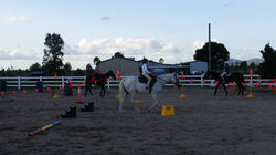 riding lessons townsville