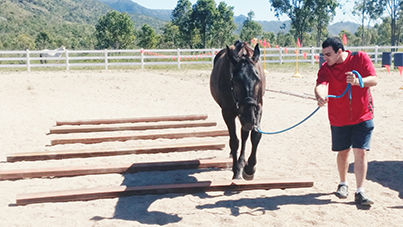 pinnacles equine team