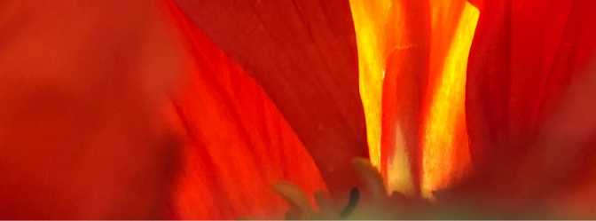 IMG_9546_edited.png
