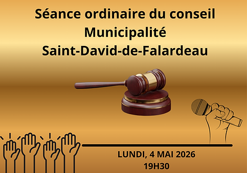 Séance ordinaire du conseil.png