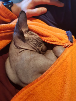 20180320_161052[8396]