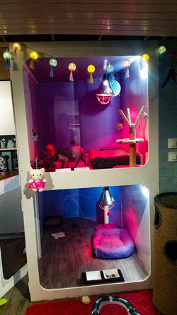 28953732_907290482772925_7913176231560119436_o