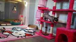 29542282_909588625876444_1750091052457074922_n