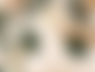  Retire in Paradise: Everything You Need to Know About the Retirement KITAS in Indonesia