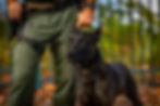 24 MCSO K9-21.jpg