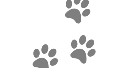 Untitled design (37).png