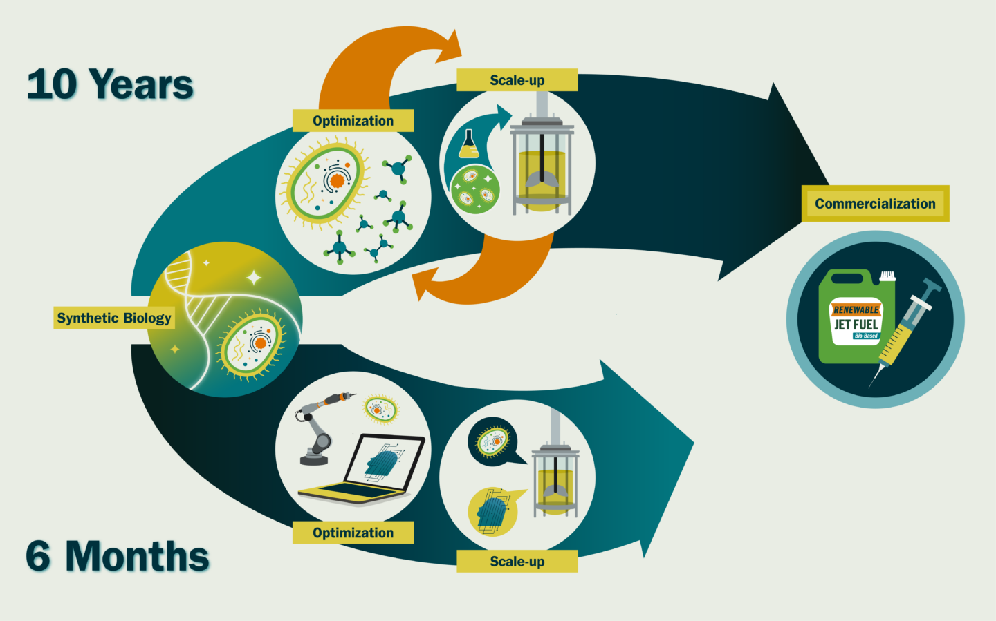 An illustration showing how a research and development pipeline using AI and automation can be greatly accelerated compared with the current highly iterative and labor intensive processes. For example, it took 575 person-years of work to create a sustainable, bio-based production route for a widely used chemical called 1,3-propanediol.