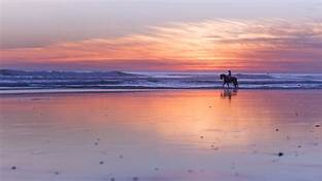 horseriding.jfif