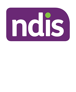 ndis (210 × 267mm).png