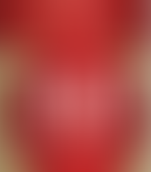 Featured Reading: The 360º Leader