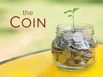 The Coin