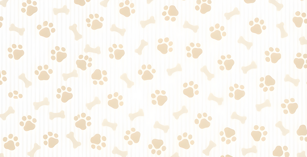 imagem_2026-10-09_131433353_edited.png