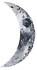 Moon_5 (2)tiny.png