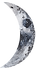 Moon_5 (2)tiny.png