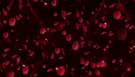 Background_18.gif
