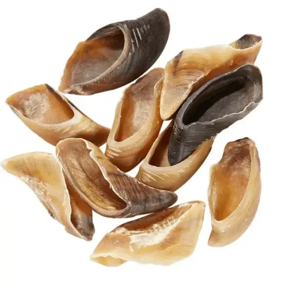 Sabot de Veau