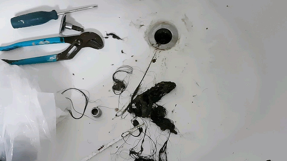 Hair pulled from Drain